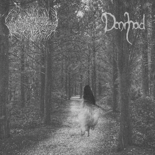Beyond Melancholy : Beyond Melancholy - Dannhad (Crying Forest)